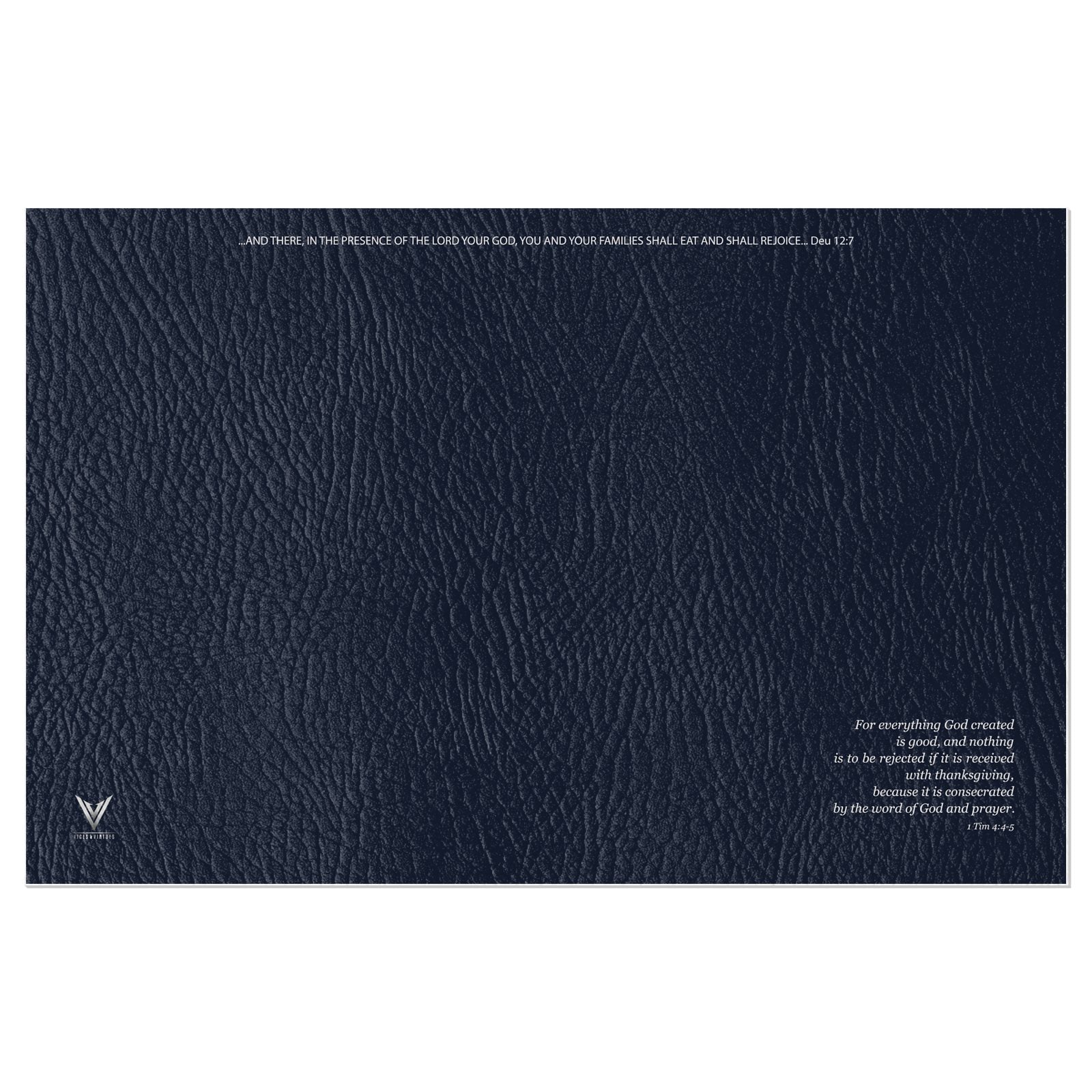 The Matte Indigo Sapphire Vinyl Placemats
