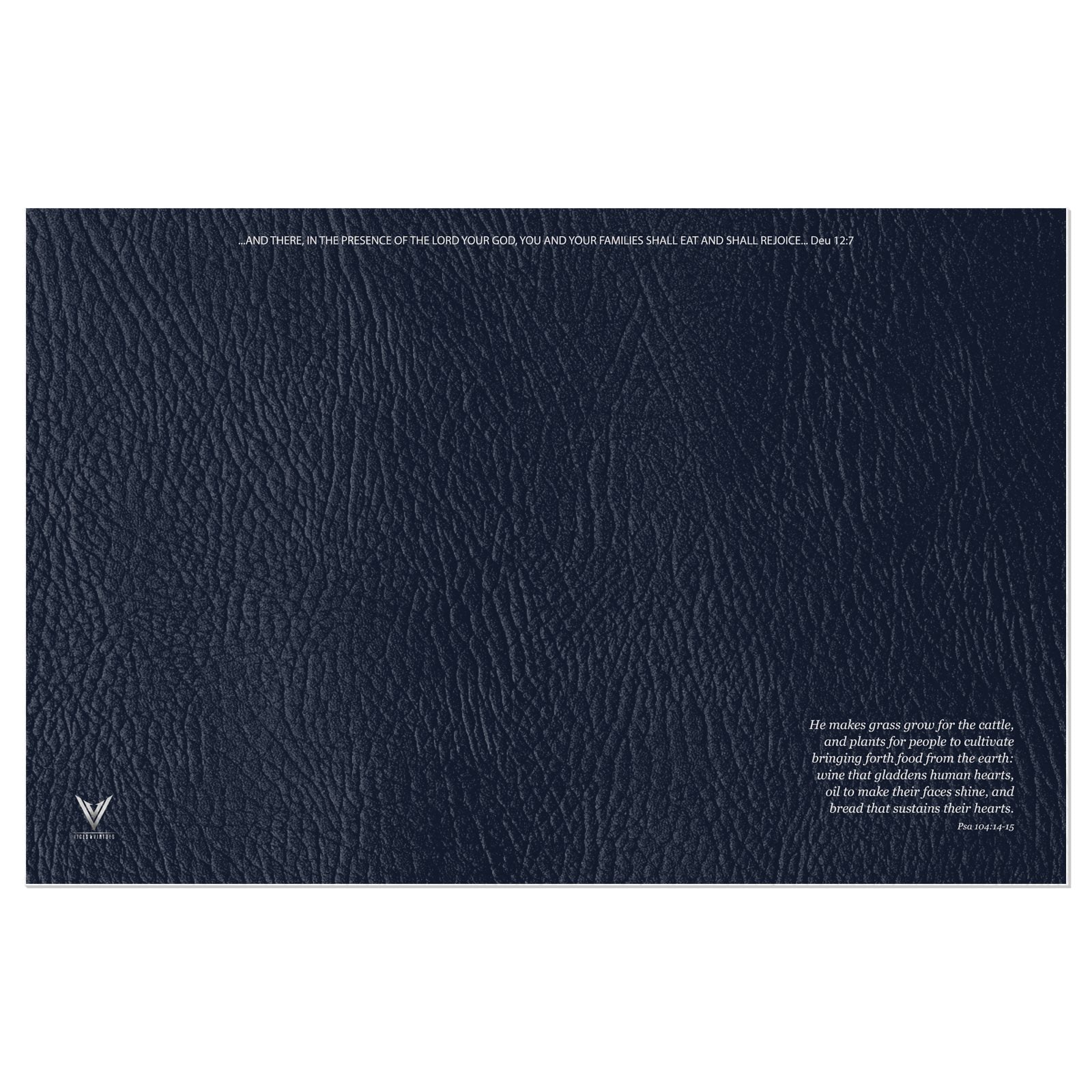 The Matte Indigo Sapphire Vinyl Placemats
