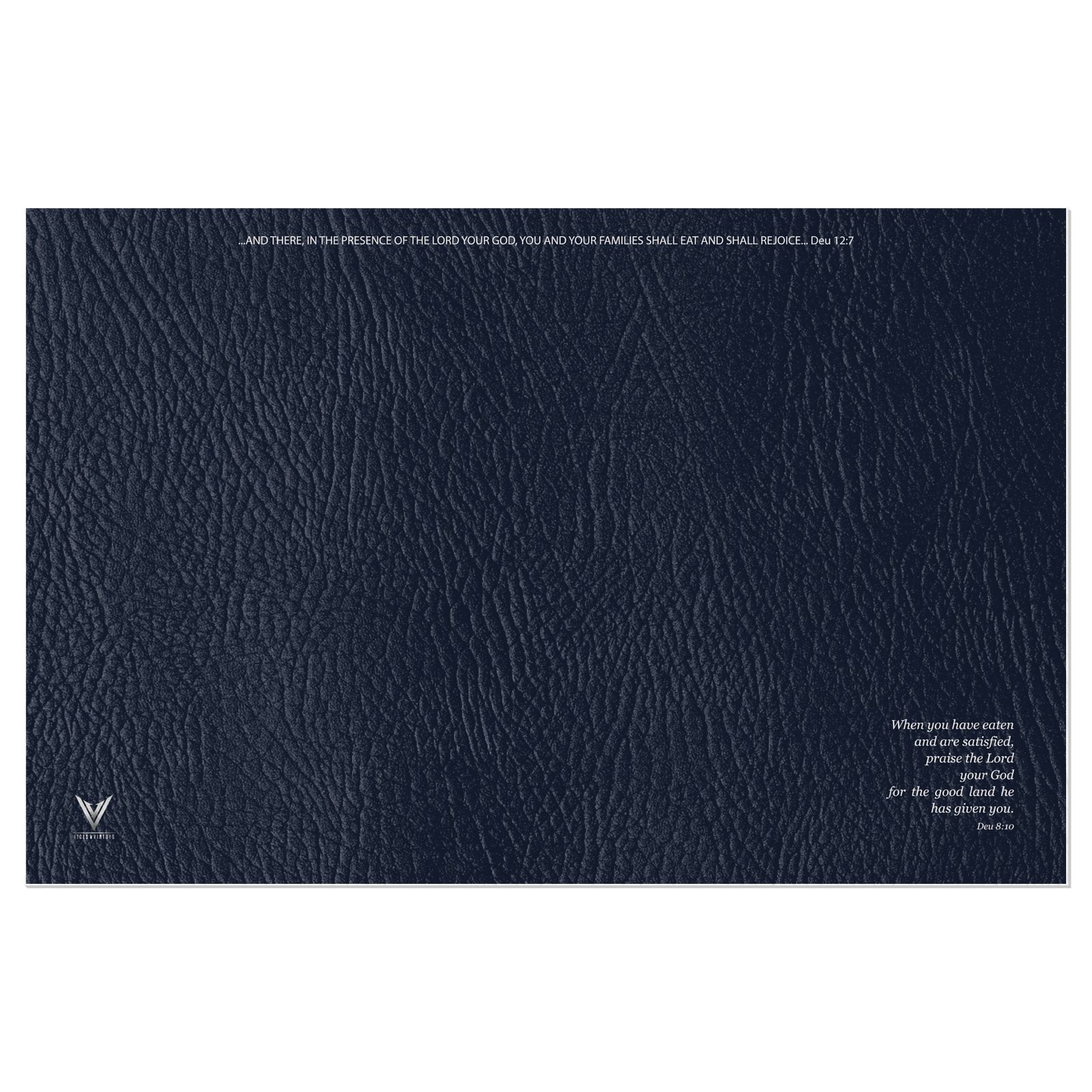 The Matte Indigo Sapphire Vinyl Placemats