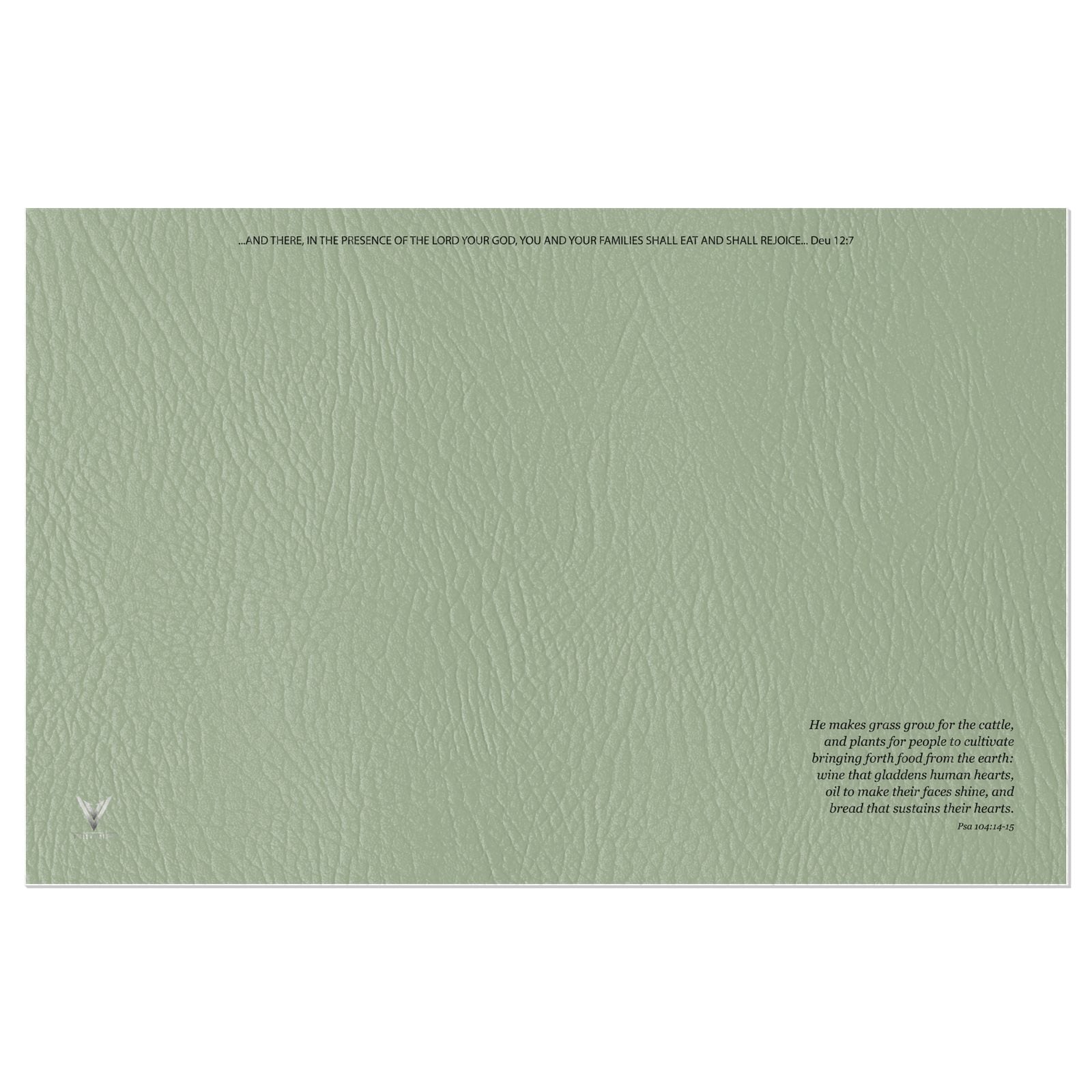 The Matte Hyssop Mist Vinyl Placemats